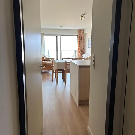 Seagull, Ruim En Volledig Vernieuwd Met Zeezicht In Westende Apartment *
