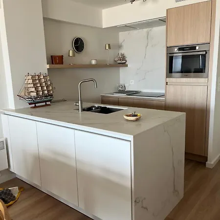 Seagull, Ruim En Volledig Vernieuwd Met Zeezicht In Westende Apartment