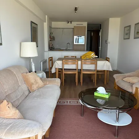 Apartment Seagull, Ruim En Volledig Vernieuwd Met Zeezicht In Westende Middelkerke