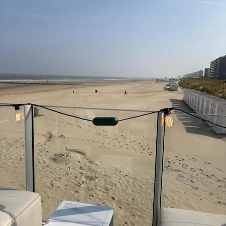 アパート Seagull, Ruim En Volledig Vernieuwd Met Zeezicht In Westende