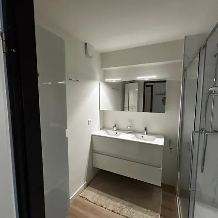 Seagull, Ruim En Volledig Vernieuwd Met Zeezicht In Westende ミデルケルケ